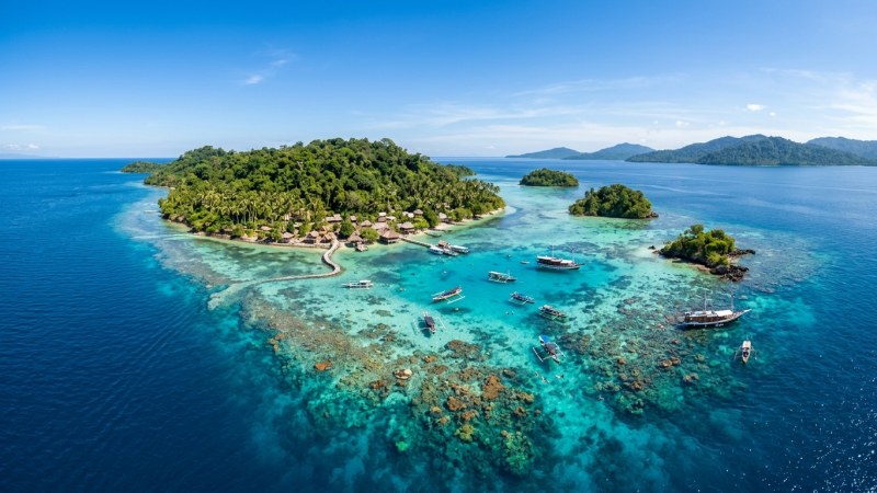 Destinasi Wisata Bahari Terumbu Karang Wakatobi dan Bunaken